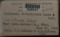 Image Associated With the Occurence